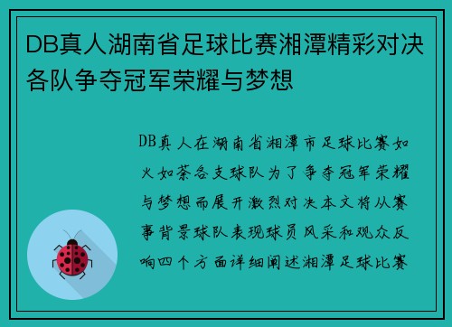 DB真人湖南省足球比赛湘潭精彩对决各队争夺冠军荣耀与梦想